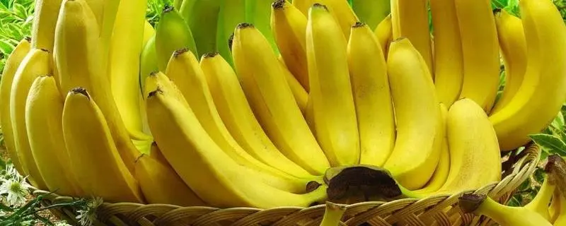 蒸香蕉需不需要带皮，蒸香蕉的正确方法