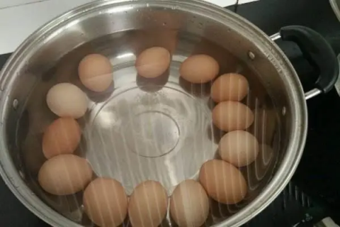 煮鸡蛋与蒸鸡蛋有哪些区别，哪种营养更均衡