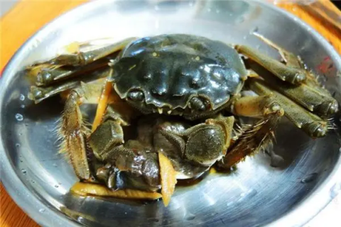 螃蟹在家里养活多久，专家教你延长螃蟹寿命