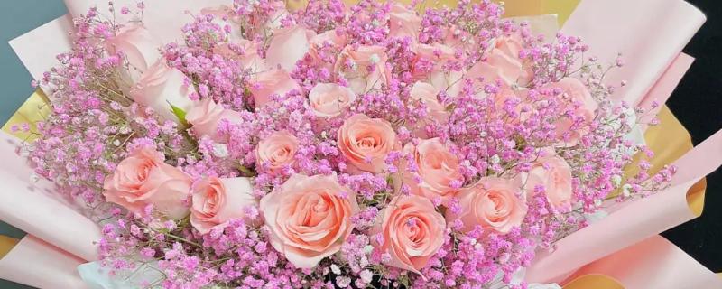 三朵粉玫瑰加满天星的寓意，寓意真爱永恒、默默守护等