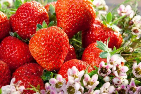 草莓不熟怎么催熟，几种简单方法