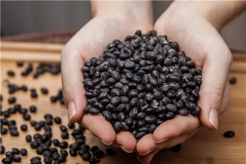 黑豆适合什么时候种植，栽培要点有哪些