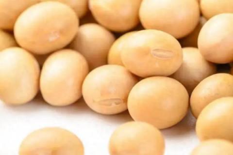 受欢迎的大豆品种有哪些，常见的有中黄35、中黄301等