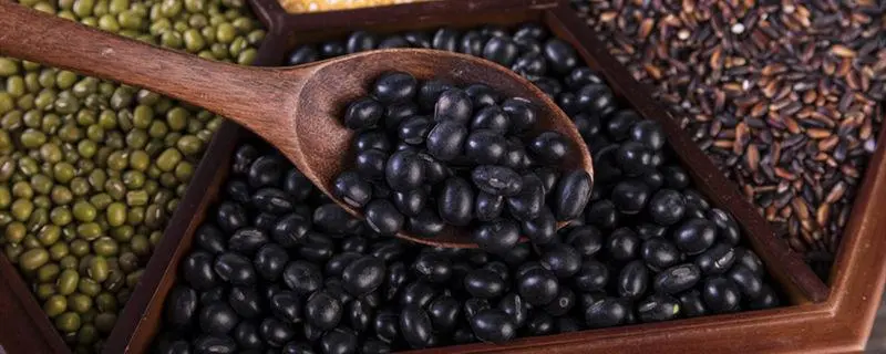 关于黑豆的种植，详尽步骤和注意事项