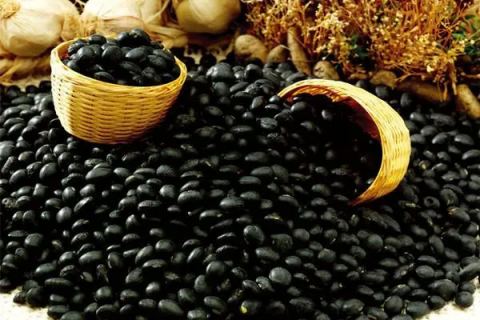 关于黑豆的种植，详尽步骤和注意事项