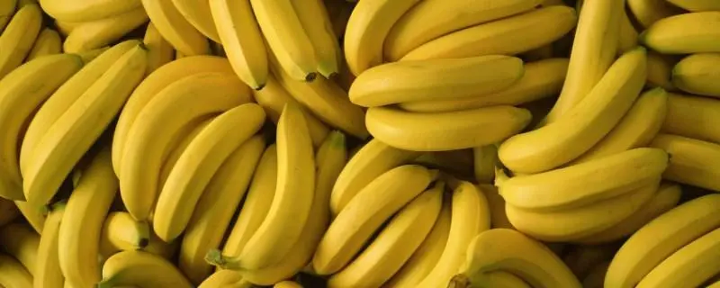 香蕉常见的六大种类，它们各有什么特点