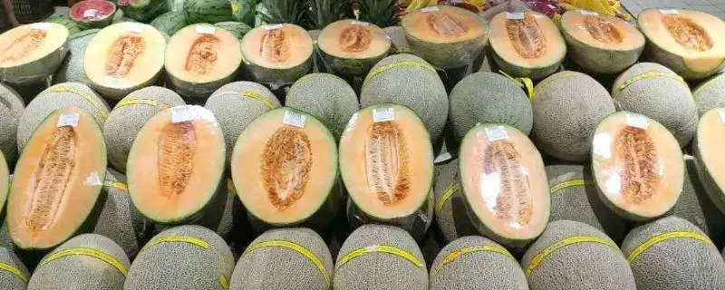 关于哈密瓜的品种，哈密瓜品种大揭秘