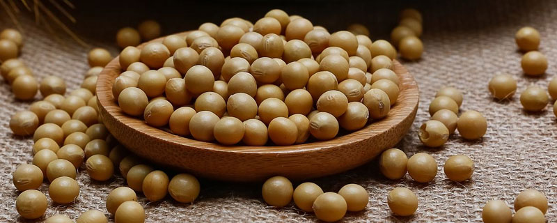晋科2号大豆品种简介，亩留苗密度0.7～0.8万株