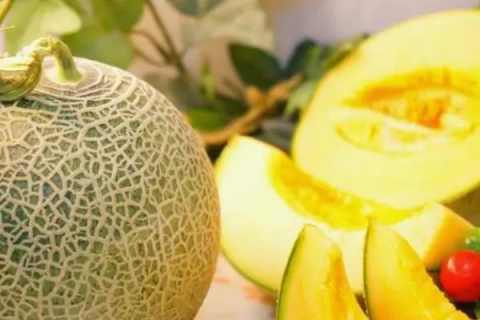 关于哈密瓜的品种，哈密瓜品种大揭秘
