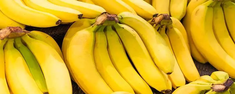 香蕉种植环境条件，成本和利润