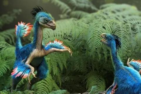 始祖鸟的食物，主食草食性恐龙及其它动物
