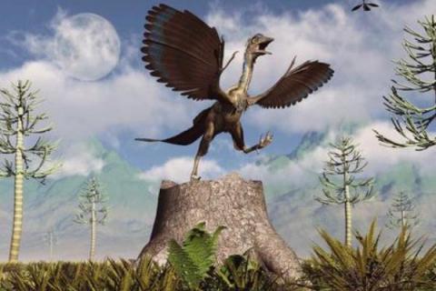 始祖鸟的食物，主食草食性恐龙及其它动物